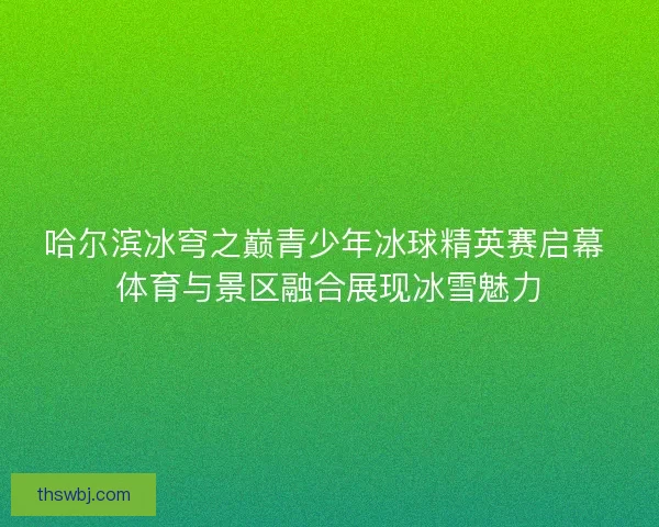 哈尔滨冰穹之巅青少年冰球精英赛启幕 体育与景区融合展现冰雪魅力