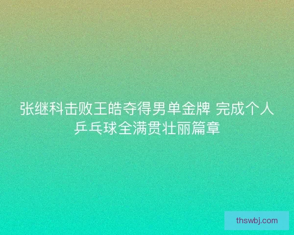 张继科击败王皓夺得男单金牌 完成个人乒乓球全满贯壮丽篇章