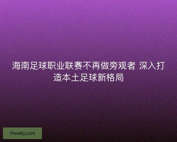 海南足球职业联赛不再做旁观者 深入打造本土足球新格局