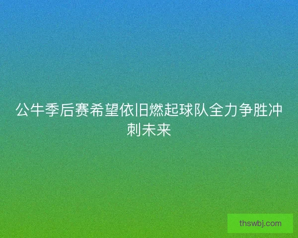 公牛季后赛希望依旧燃起球队全力争胜冲刺未来